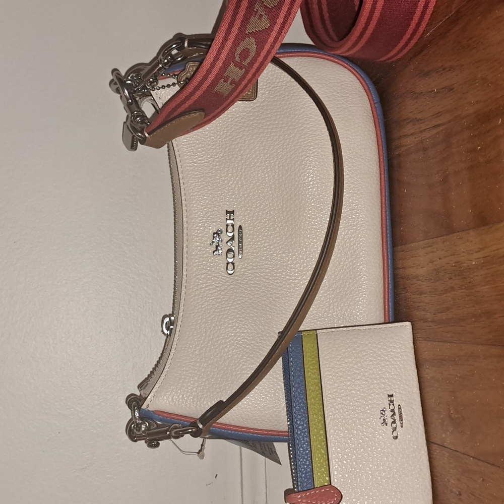 Coach Terri shoulder bag and mini Skinny
